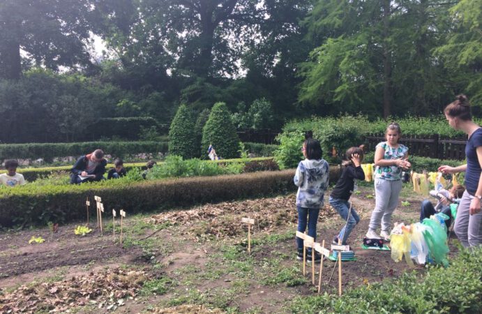 Frankfurter Schulgarten wurde eröffnet