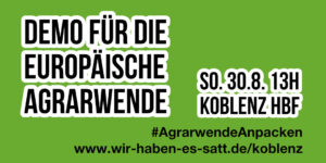 Wir haben es satt!-Demo zum EU-Agrargipfel